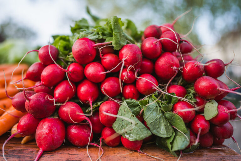 Split green market, radish