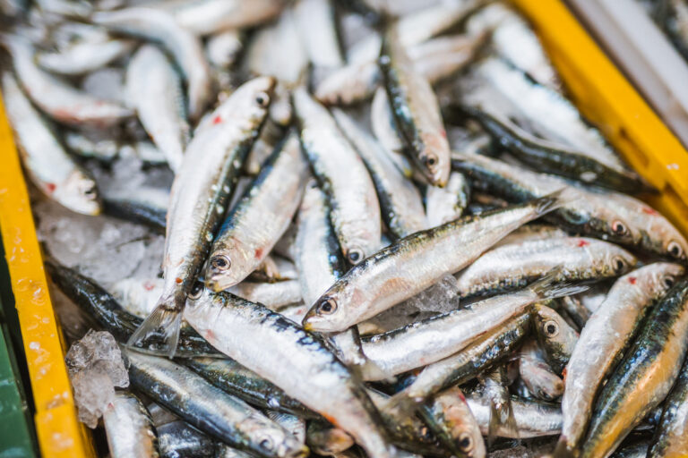 Split fish market