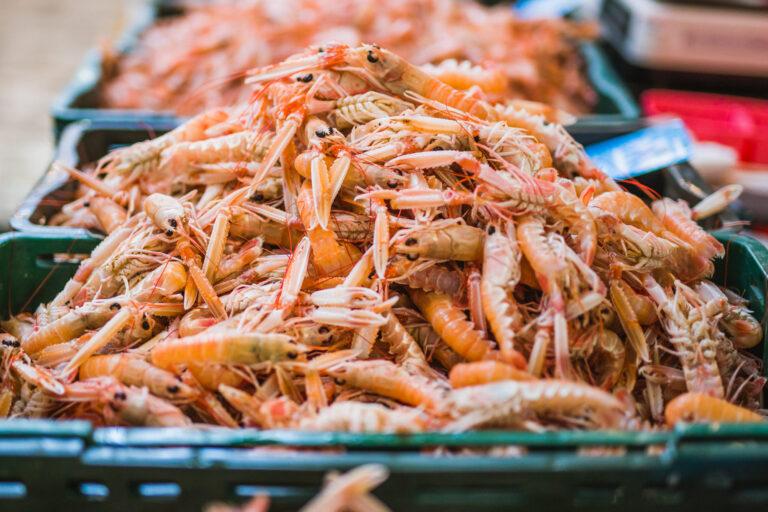Split fish market, shrimps